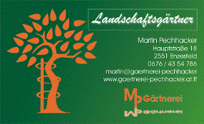 Logo Pechhacker Martin