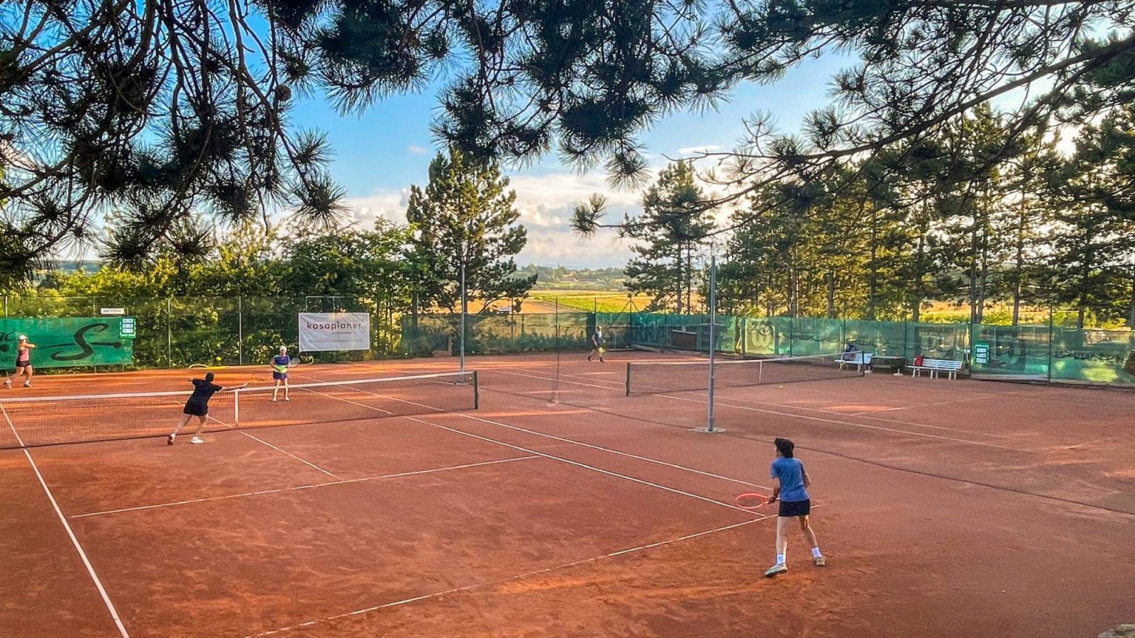 Spielerinnen auf den Sandplätzen des TC Bad Vöslau im Abendlicht, über den Plätzen Kiefernzweige, dahinter Felder und Weingärten