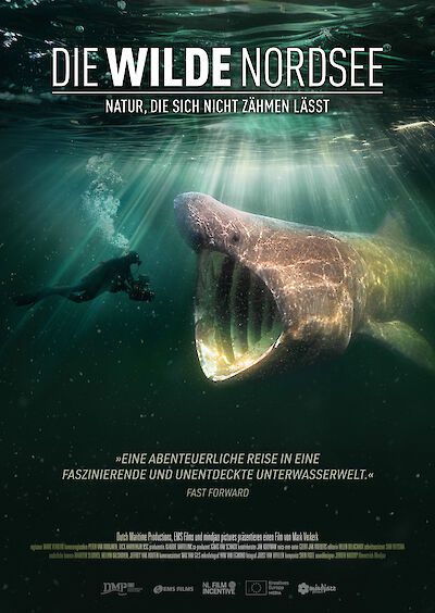 Filmplakat: Die wilde Nordsee – Natur, die sich nicht zähmen lässt