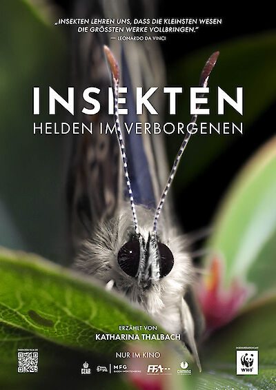 Filmplakat: Insekten - Helden im Verborgenen