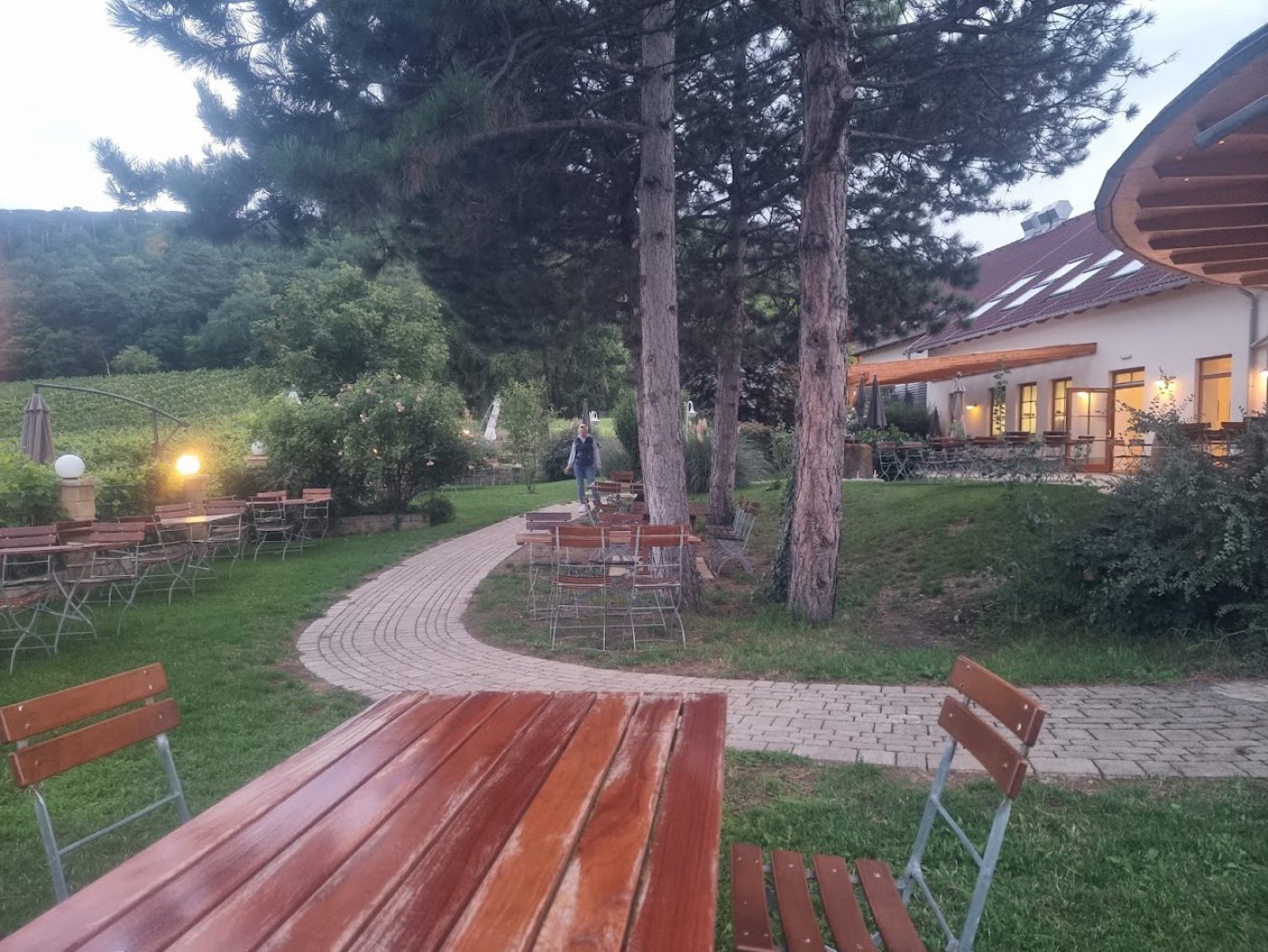 Heurigengarten mit Weingärten in Baden bei Wien