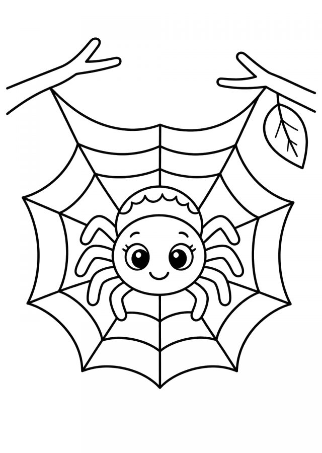 Ausmalbild: eine runde, lächelnde Spinne sitzt in der Mitte eines großen Spinnennetzes zwischen zwei Ästen, daneben ein Blatt