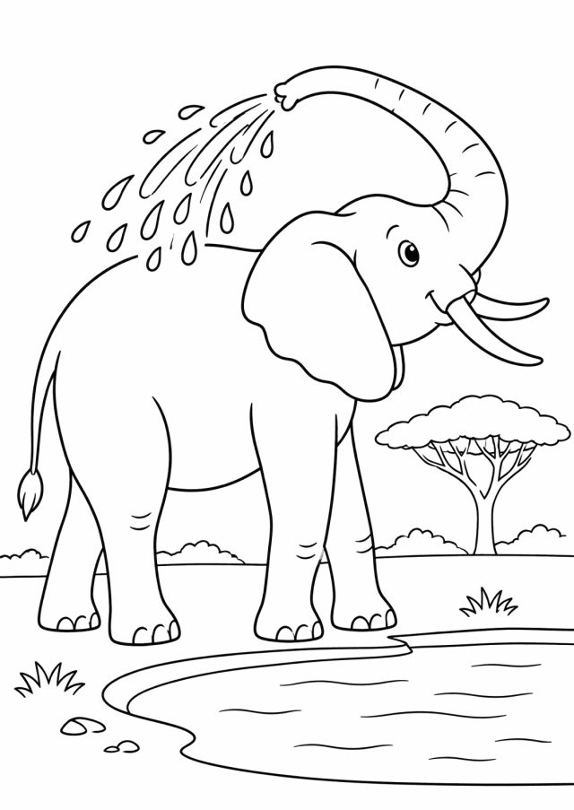 Ausmalbild: ein großer Elefant mit Stoßzähnen steht am Wasserloch und spritzt sich mit dem hochgebogenen Rüssel Wasser über den Rücken, im Hintergrund eine Schirmakazie und Büsche