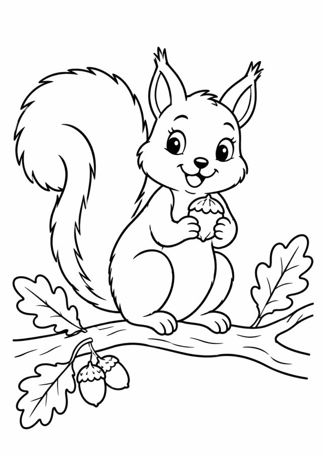 Ausmalbild: ein Eichhörnchen mit buschigem Schwanz sitzt auf einem Ast und hält eine Eichel, daneben Eichenblätter und zwei Eicheln