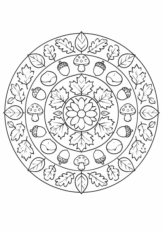 Ausmalbild: ein rundes Mandala mit einer Blüte in der Mitte, darum Ringe aus Ahornblättern, Eicheln, Kastanien, Pilzen und Eichenblättern