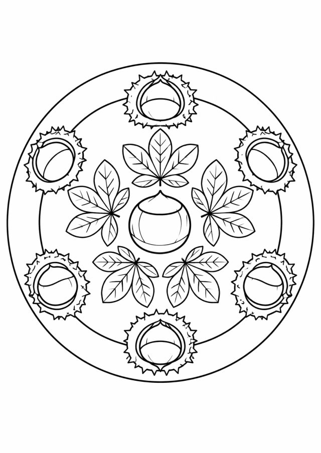 Ausmalbild: rundes Mandala mit einer Kastanie in der Mitte, darum sechs gefingerte Kastanienblätter und außen sechs Kastanien in aufgeplatzten stacheligen Schalen