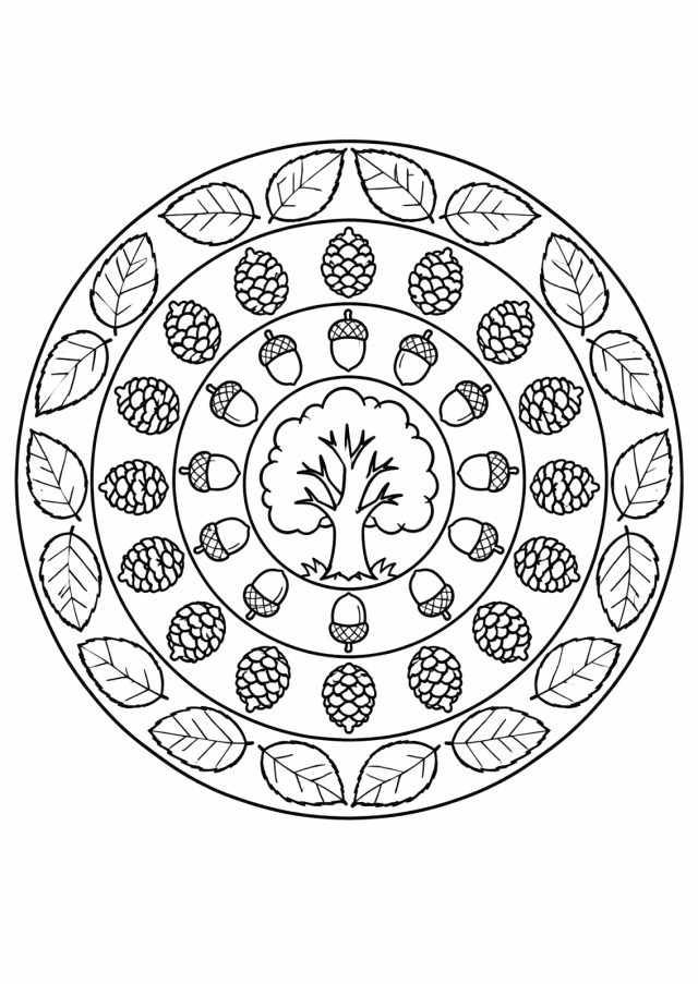 Ausmalbild: rundes Mandala mit einem Baum in der Mitte, umgeben von einem Ring aus Eicheln, einem Ring aus Zapfen und einem äußeren Ring aus Blättern