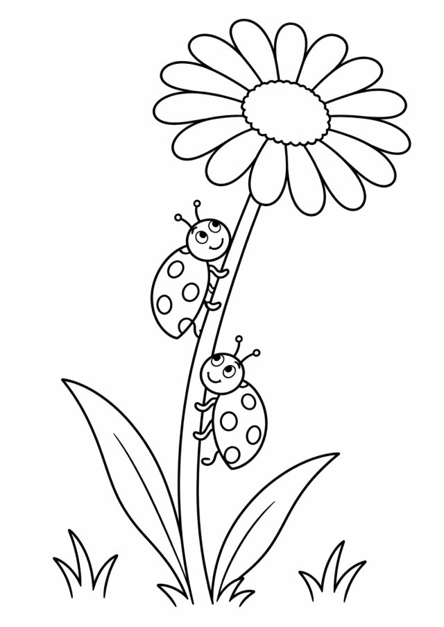 Ausmalbild: zwei lachende Marienkäfer mit Punkten klettern an einem langen Stängel zu einer großen Gänseblümchenblüte hinauf, unten Blätter und Gras