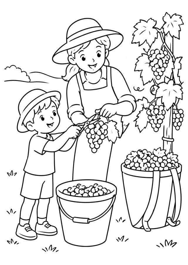 Ausmalbild: ein Bub mit Hut schneidet gemeinsam mit einer Frau eine Weintraube von der Rebe, daneben ein Kübel und eine Rückentrage voller Trauben