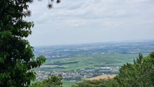 Blick von einem bewaldeten Hang über einen Ort mit roten Ziegeldächern, dahinter Felder, Weingärten und Gewerbeflächen bis zum flachen Horizont