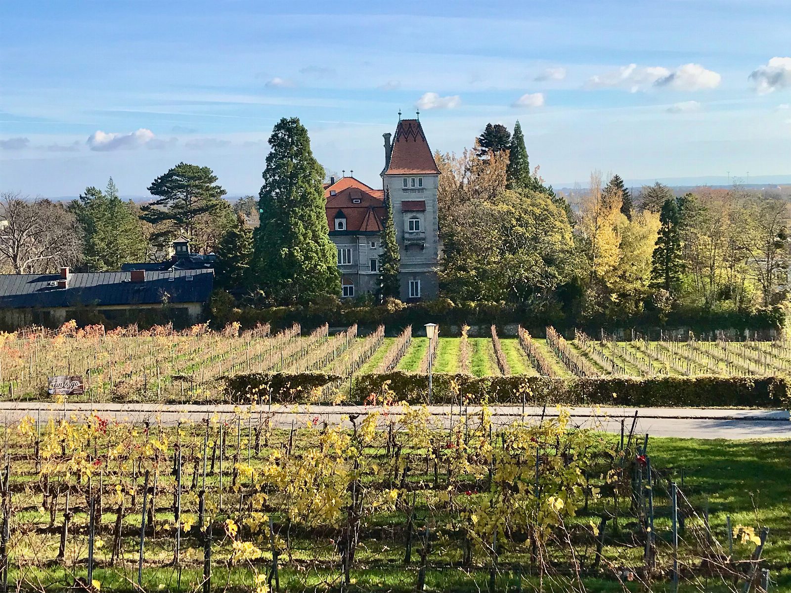 Herbstliche Weingärten am Schlumberger-Wegerl in Bad Vöslau, dahinter eine Villa mit Turm zwischen hohen Bäumen