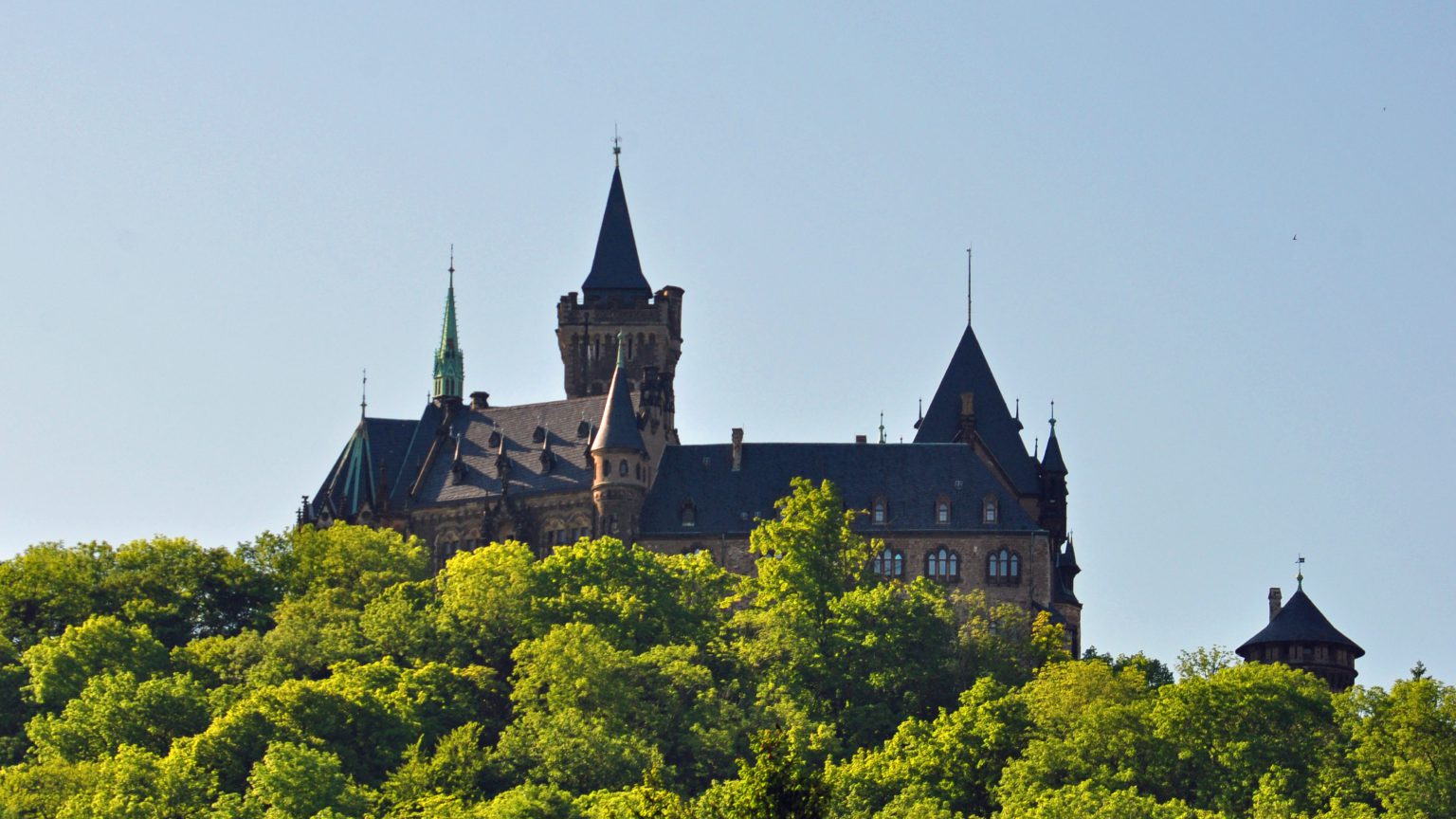 Schloss Wernigerode auf einem bewaldeten Hügel unter blauem Himmel, mit spitzen Türmen und dunklen Schieferdächern