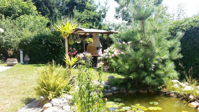 Sommerlicher Garten mit Teich und Seerosen, Pergola mit gemauertem Grill, Hortensien und einer Kiefer