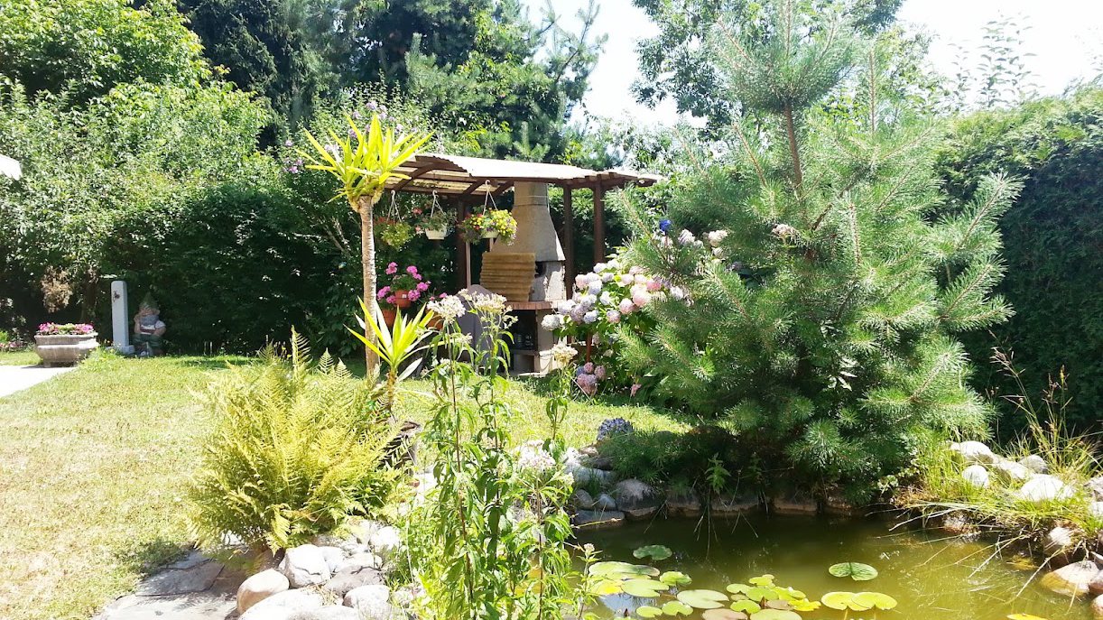 Sommerlicher Garten mit Teich und Seerosen, Pergola mit gemauertem Grill, Hortensien und einer Kiefer