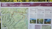 Infotafel „Baden – Wegerl im Helenental“ am Wegrand: links eine Wanderkarte des Wienerwalds mit eingezeichneten Routen, rechts die Beschreibungen dreier Wanderungen mit Fotos