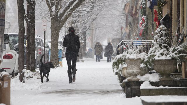 Schwarzer Hund an der Leine auf einem verschneiten Gehsteig, daneben eine Frau in dunkler Winterkleidung, im Hintergrund Bäume und Passanten im Schneefall