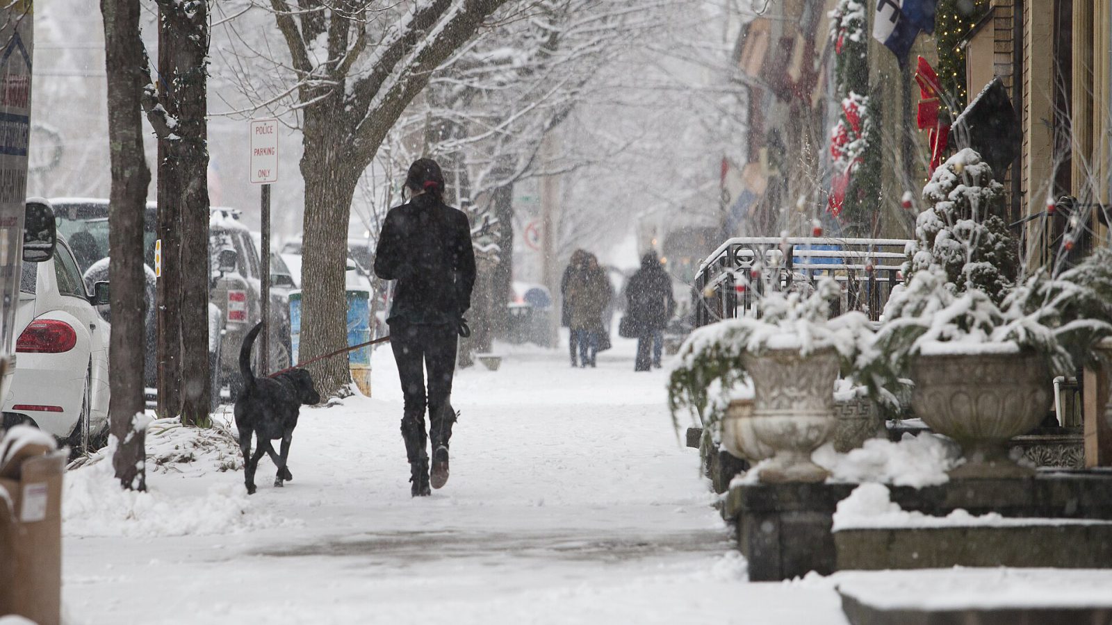 Schwarzer Hund an der Leine auf einem verschneiten Gehsteig, daneben eine Frau in dunkler Winterkleidung, im Hintergrund Bäume und Passanten im Schneefall