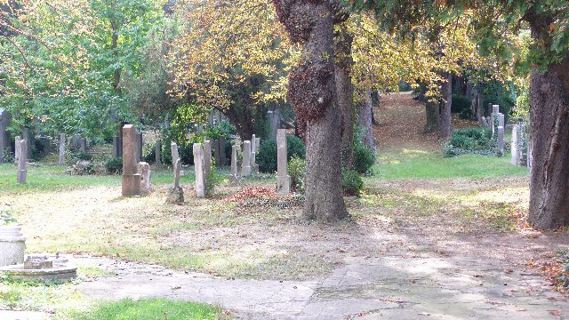 Herbstlicher Friedhof mit alten Grabsteinen in einer Wiese, dicke Baumstämme und ein von Laub bedeckter Weg