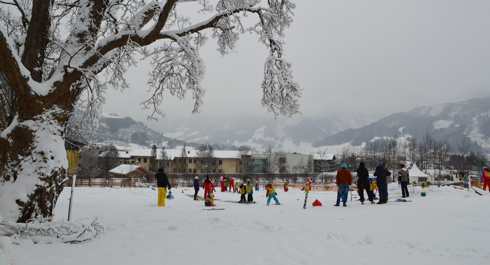 Verschneite Übungswiese mit kleinen Kindern auf Ski in bunten Anzügen, Erwachsene stehen daneben, links ein verschneiter Baum, hinten Berge im Nebel
