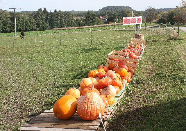 Kürbisverkauf am Straßenrand: orange und rote Kürbisse auf Paletten und in Holzkisten, dahinter ein Schild mit der Aufschrift Kürbisse und eine Pferdekoppel (Zaisersweiher in Baden-Württemberg)