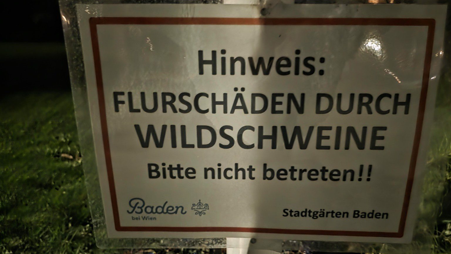 Hinweisschild der Stadtgärten Baden im Kurpark: Flurschäden durch Wildschweine, bitte nicht betreten