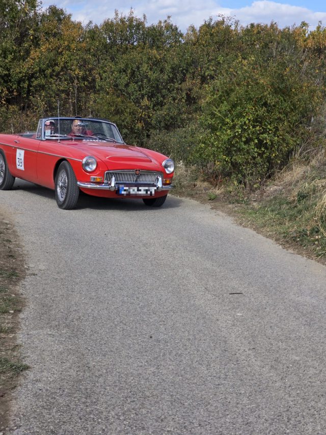 Roter MG-Roadster mit offenem Verdeck und Startnummer 39 auf einem Weingartenweg, daneben eine Hecke im Herbstlaub.