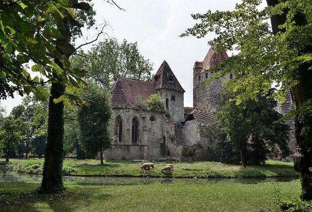 Ruine einer gotischen Kapelle mit Spitzbogenfenstern und ein Turm hinter Bäumen, davor ein Wassergraben und grasende Schafe