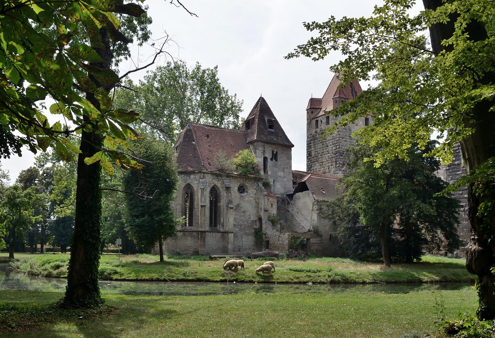 Ruine einer gotischen Kapelle mit Spitzbogenfenstern und ein Turm hinter Bäumen, davor ein Wassergraben und grasende Schafe