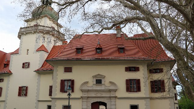 Hellgelbes Schloss mit rotem Ziegeldach, Torbogen und Turm mit grüner Kuppel, davor die Äste einer großen kahlen Platane