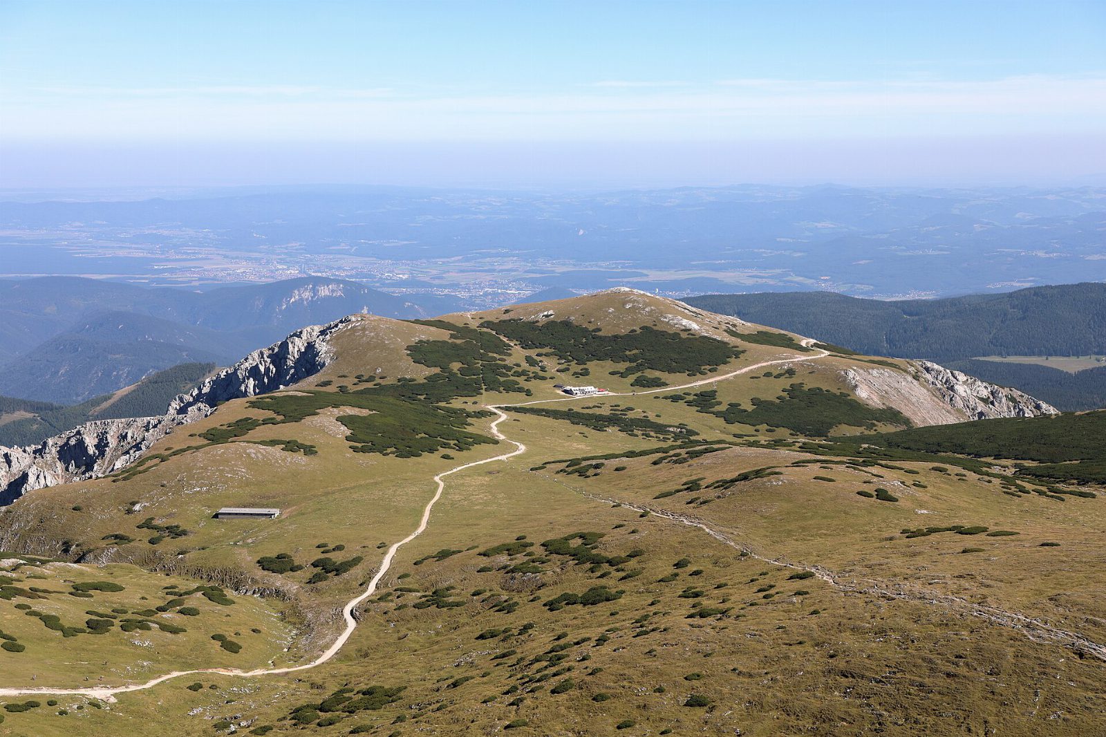 Blick über das grüne Hochplateau des Schneebergs mit Latschen und einem Wanderweg, dahinter das Flachland im Dunst