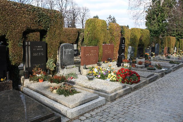 Gräberreihe am Stadtpfarrfriedhof Baden mit Grabsteinen, Gestecken und frischen Blumen vor hohen, geschnittenen Thujenhecken, rechts ein gepflasterter Weg