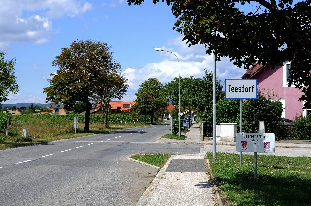 Ortstafel Teesdorf an einer Straße mit Laternen und Bäumen, daneben ein Schild zur Gemeindepartnerschaft, im Hintergrund Weingärten und Häuser