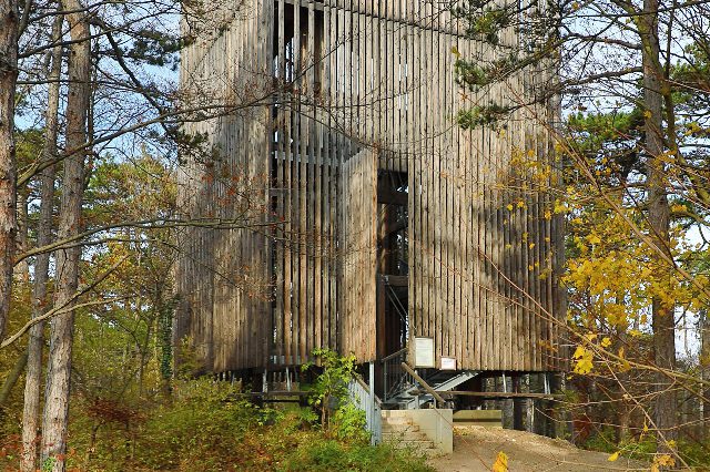 Die Theresienwarte bei Baden, ein Turm aus senkrechten Holzlatten zwischen Föhren, davor ein Weg mit gelbem Herbstlaub