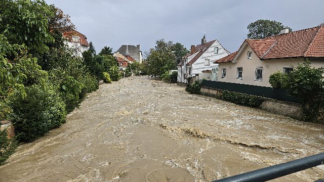 Die Schwechat führt in Baden Hochwasser, braunes Wasser strömt zwischen Böschung und Wohnhäusern.
