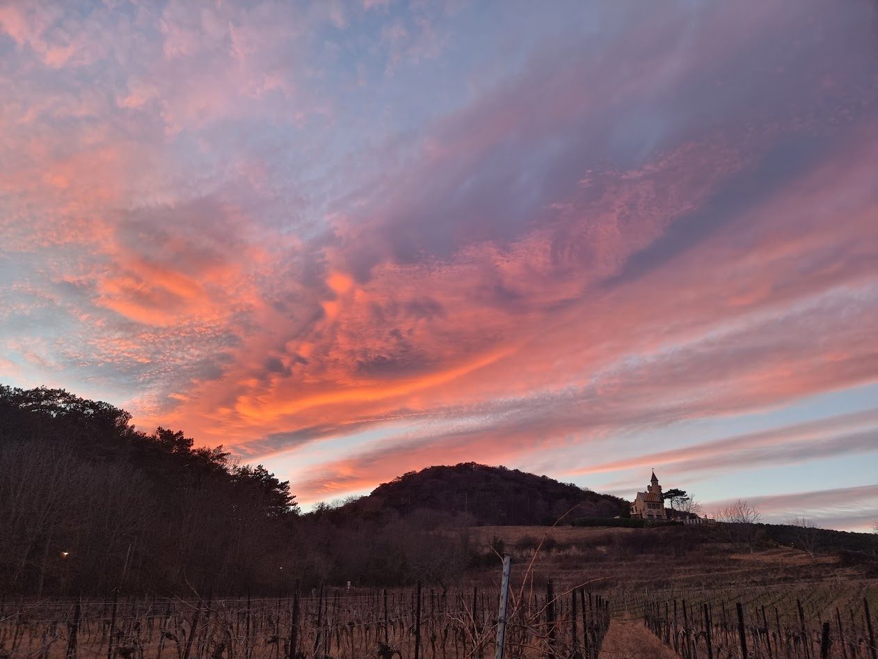 Rosa und orange leuchtender Abendhimmel über winterlichen Weingärten in Bad Vöslau, am Hügel rechts ein Gebäude mit Türmchen