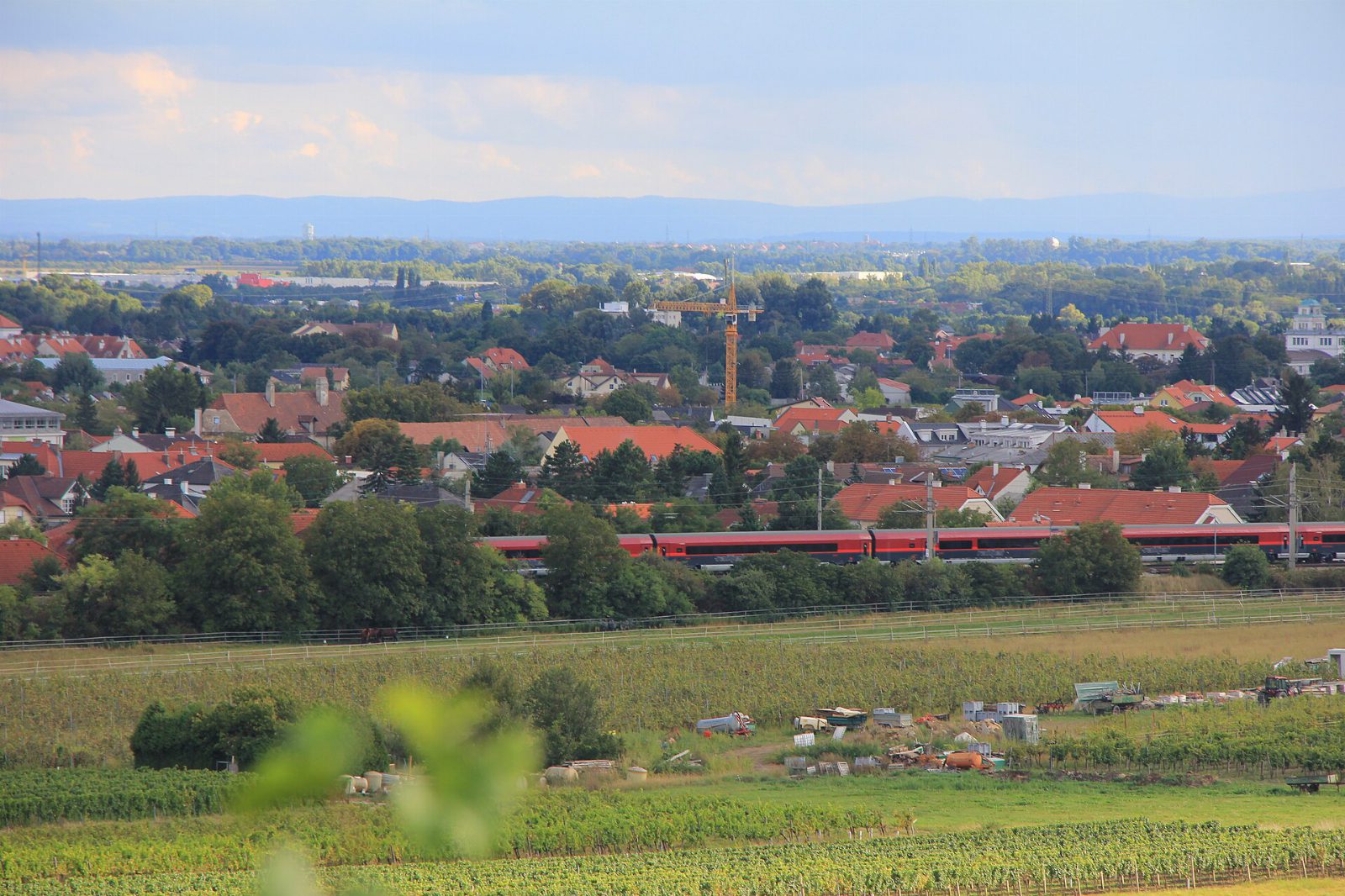 Blick aus den Weingärten bei Pfaffstätten