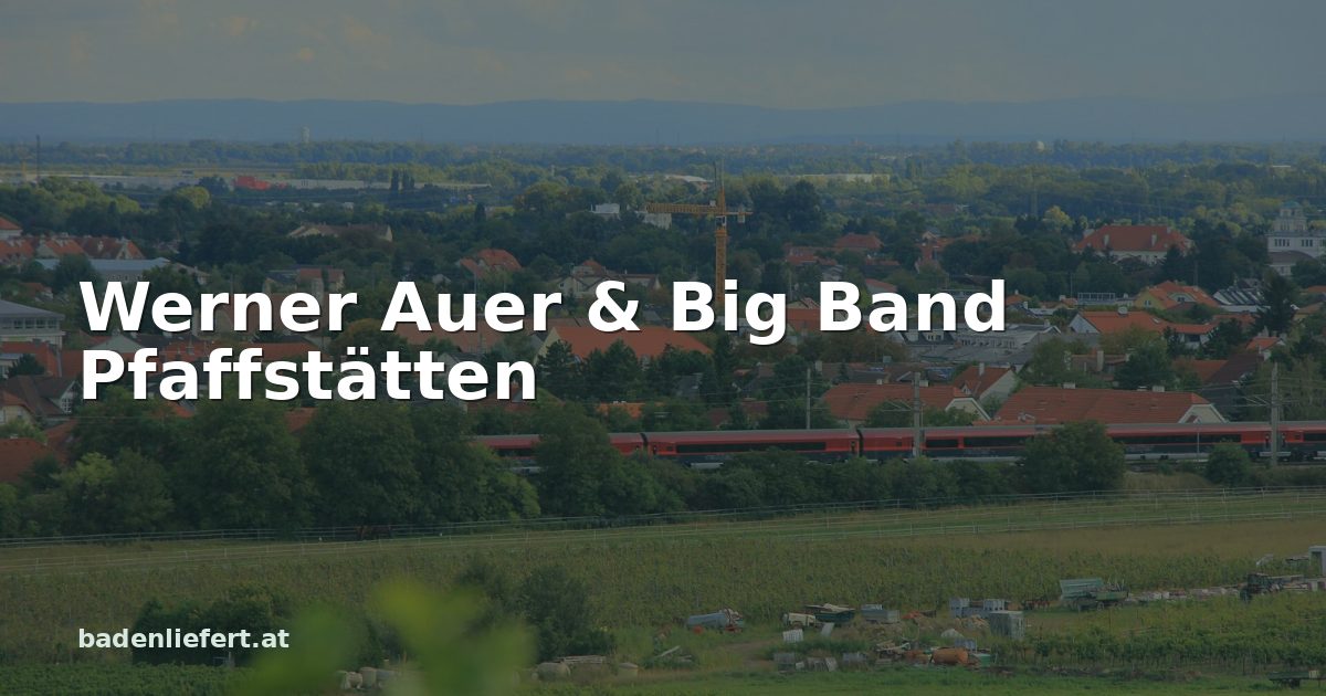 Titelbild: Blick aus den Weingärten bei Pfaffstätten, darüber der Schriftzug „Werner Auer & Big Band Pfaffstätten“