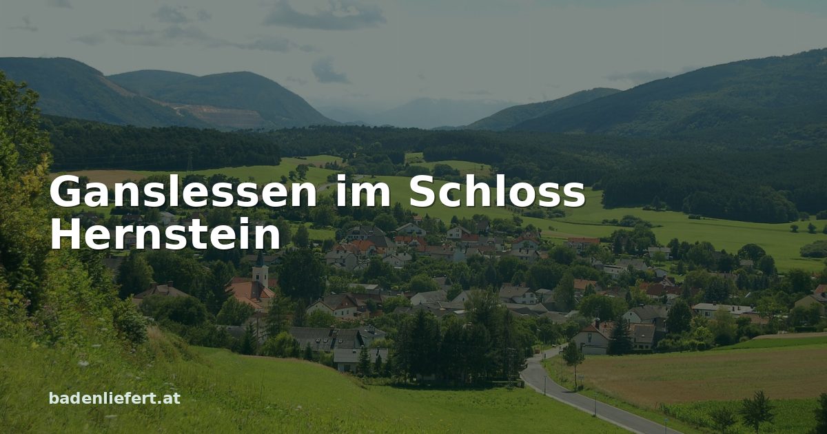 Titelbild: Hernstein, von Aigen aus gesehen, darüber der Schriftzug „Ganslessen im Schloss Hernstein“