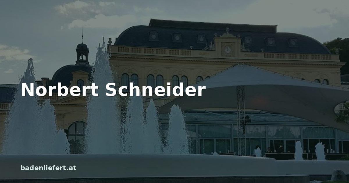 Titelbild: Kurpark Baden, darüber der Schriftzug „Norbert Schneider“