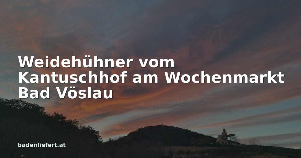 Titelbild: Abendhimmel über den Weingärten in Bad Vöslau, darüber der Schriftzug „Weidehühner vom Kantuschhof am Wochenmarkt Bad Vöslau“