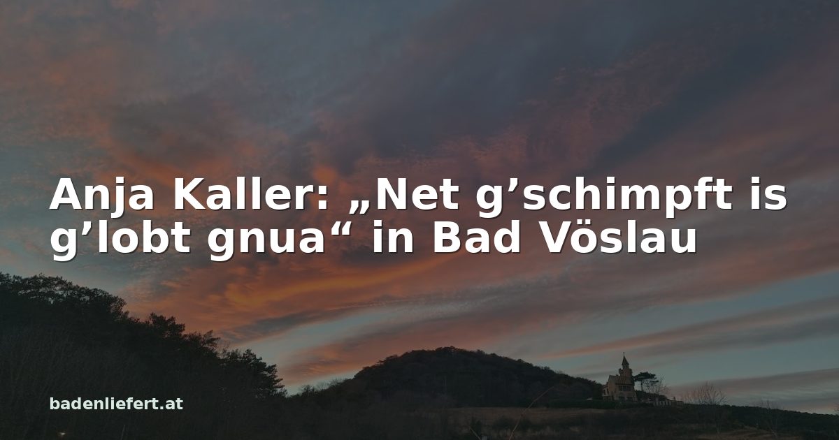 Titelbild: Abendhimmel über den Weingärten in Bad Vöslau, darüber der Schriftzug „Anja Kaller: „Net g’schimpft is g’lobt gnua“ in Bad Vöslau“