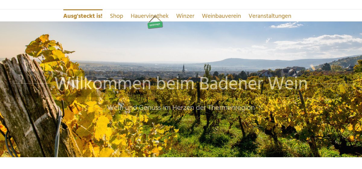 Website-Vorschau von Badener Hauervinothek