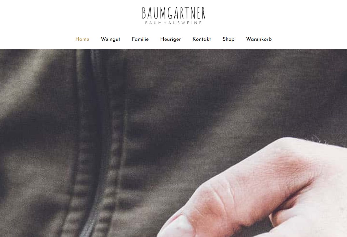 Website-Vorschau von Baumhausheuriger zum Baumbart – Bernd Baumgartner