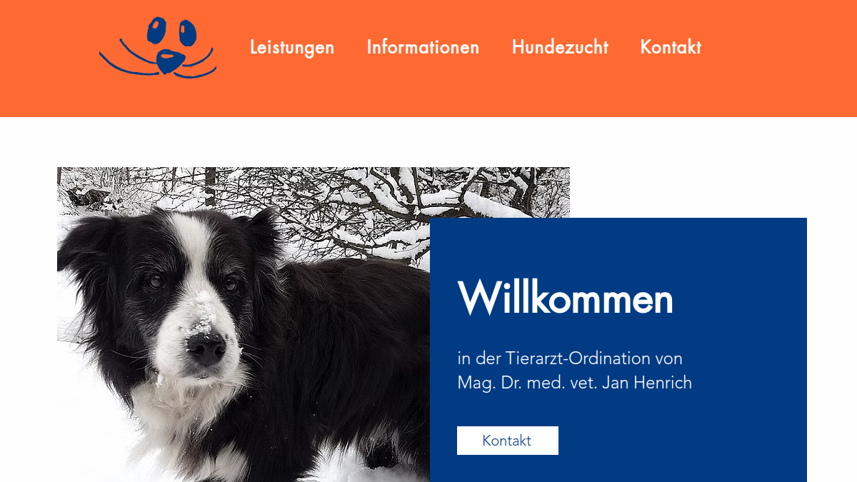 Website-Vorschau von Dr. HENRICH Jan