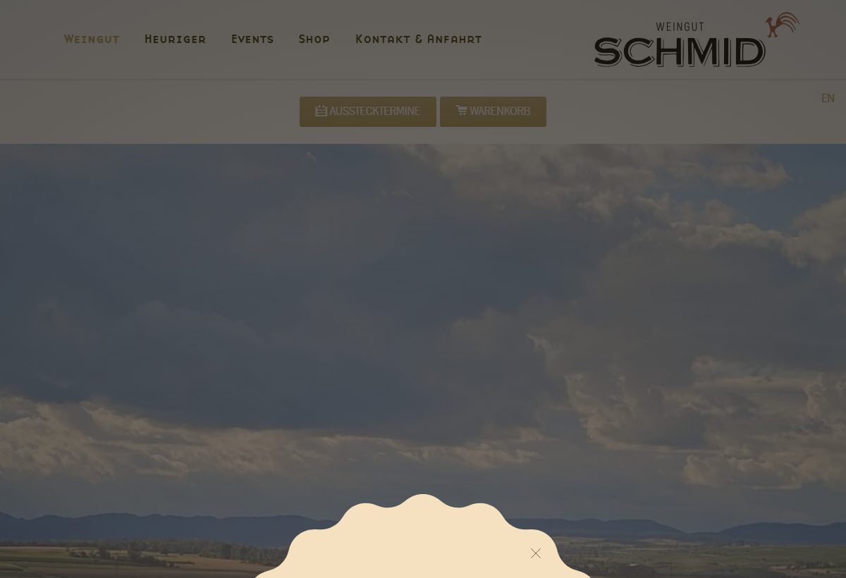 Website-Vorschau von Heuriger am Weingut Schmid