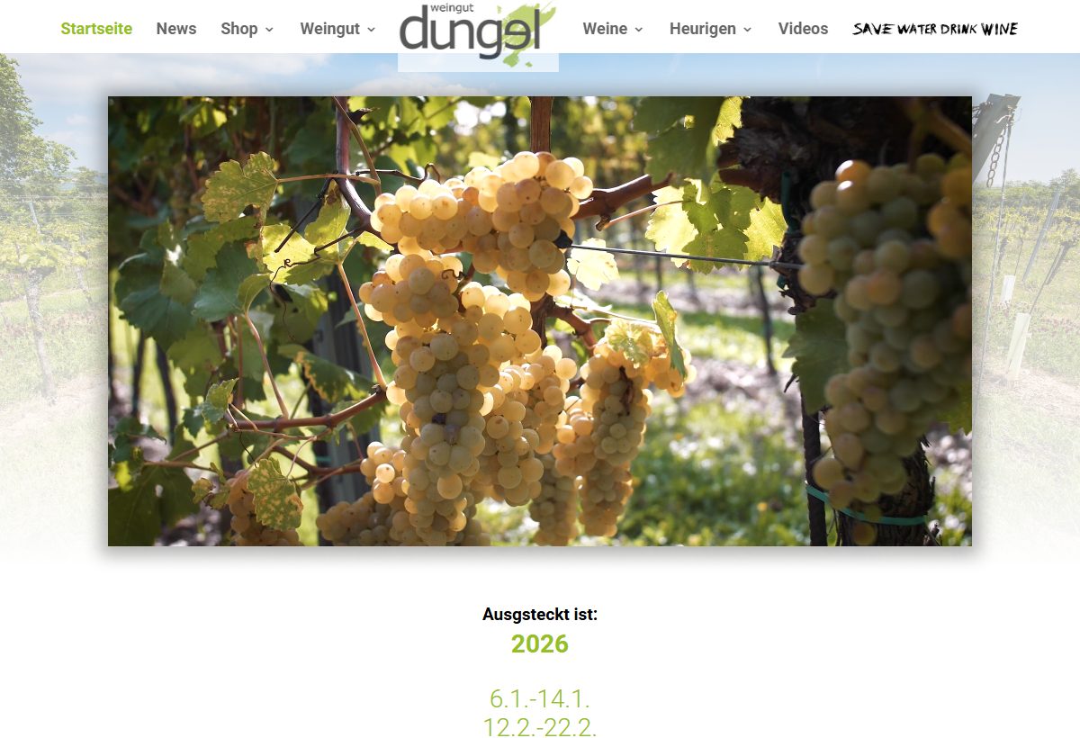 Website-Vorschau von Heuriger Dungel