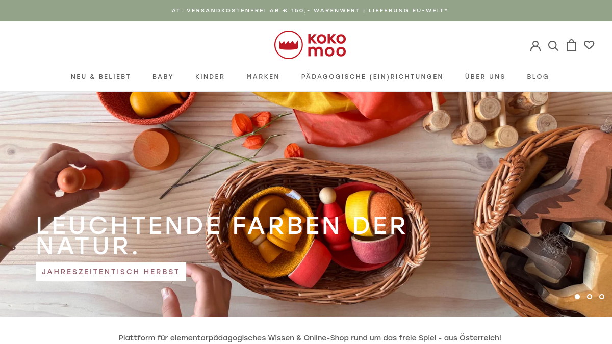 Website-Vorschau von Kokomoo