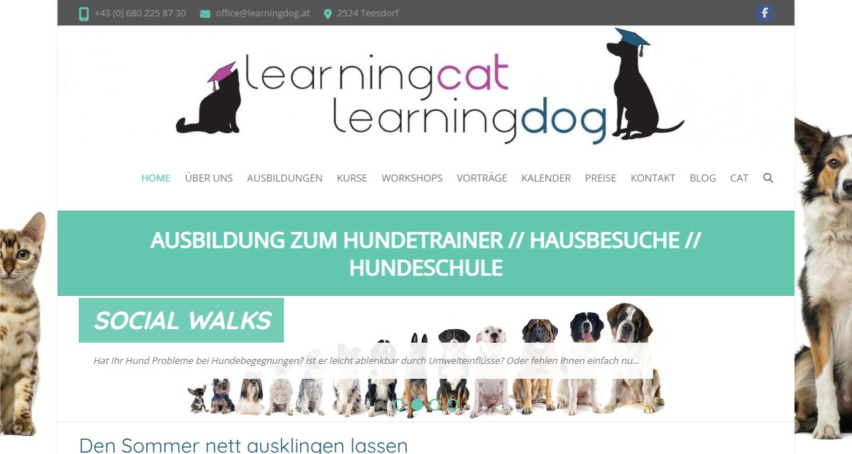 Ansicht von learningdog – Hunde Training Center