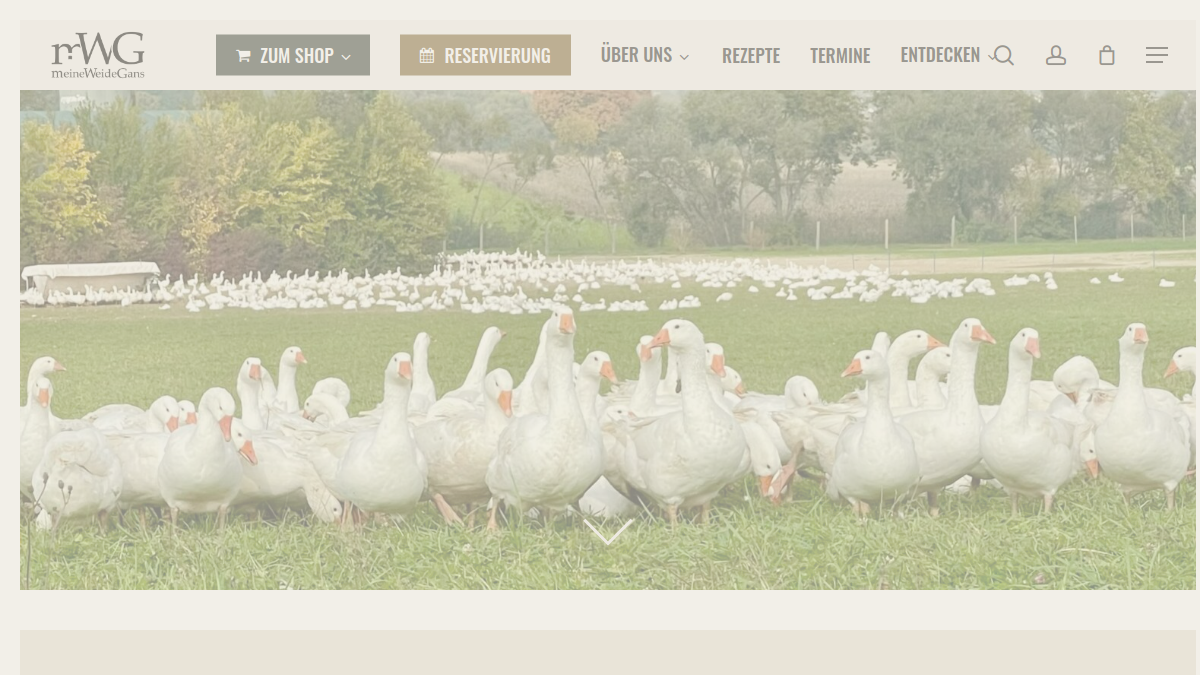 Website-Vorschau von meineWeideGans