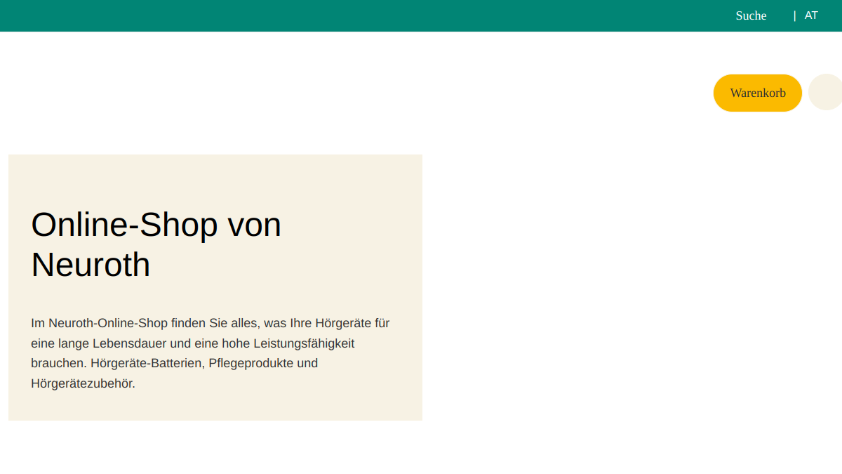 Website-Vorschau von Neuroth-Fachinstitut